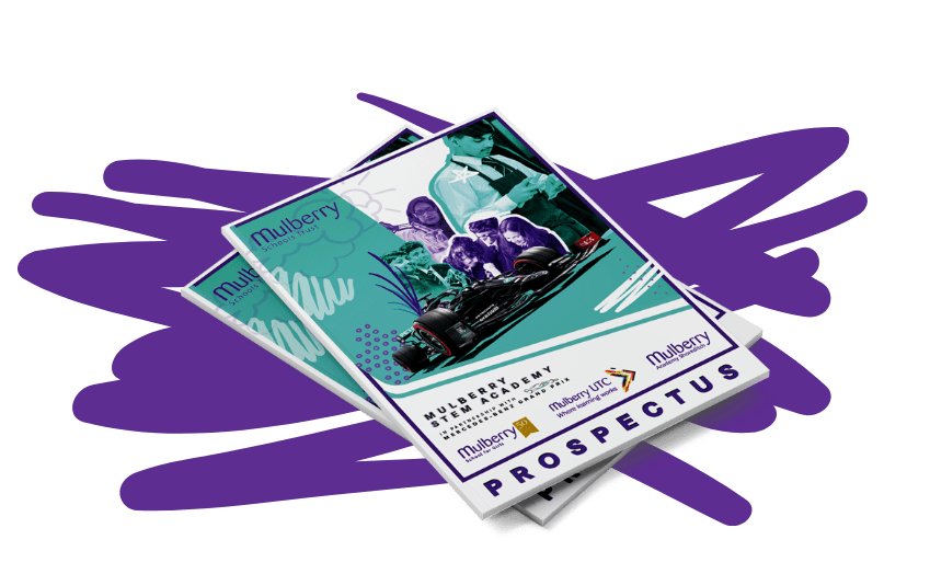STEM Prospectus